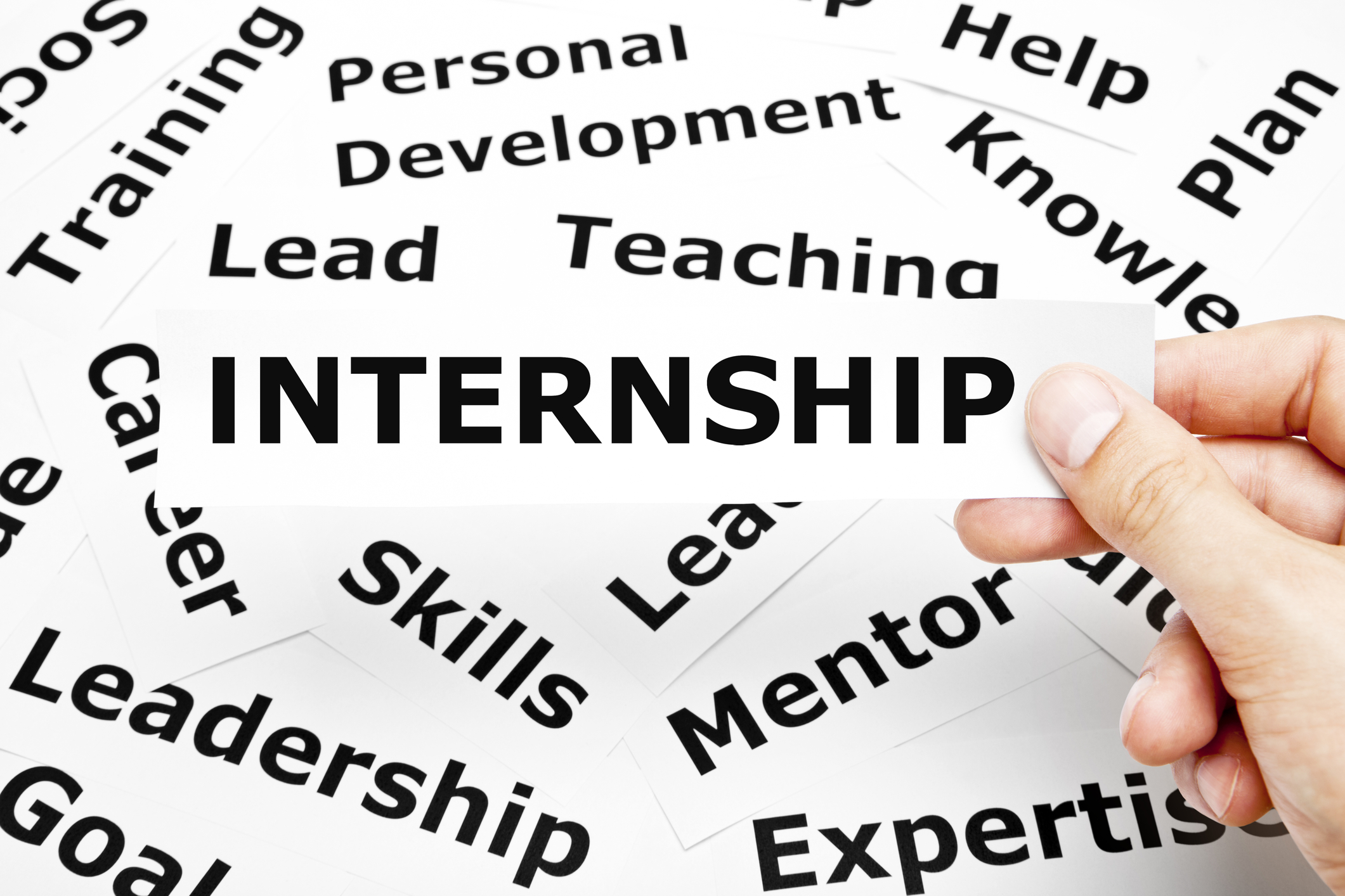 Hiring Interns | Port and Sava